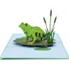 CUTPOPUP Birthday Card Pop Up, 3D Greeting Card (Frog)