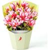 CUTPOPUP Birthday Card Pop Up, 6″x8″, Mothers Day, 3D Greeting Paper Flower Card (Bouquet of Magnolia)