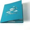CUTPOPUP Fathers Day Card Pop Up, Birthday 3D Greeting Card (Father’s Day Plane)(Fathers Day Plane)