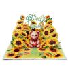 CUTPOPUP Get Well Card with Envelope, Pop Up Get Well Soon for Women Men Kids After Surgery (Sunflower and Bear)