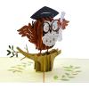 CUTPOPUP Graduation Card Pop Up, 3D High School Greeting Card (Owl)(Owl Graduation)