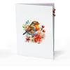 CUTPOPUP Robin Birthday Card Pop Up, Mothers Day, 3D Popup Greeting Card (Robin Cherry)