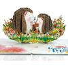 CUTPOPUP 40th Birthday Card Pop Up, Mother’s Day, 3D Greeting, Thank You Card (40th Sunflowers Bastket)(Hedgehog Mama-6x8in)