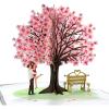 CUTPOPUP Anniversary Card Pop Up, Valentines Day, Wedding 3D Greeting Card, Valentine’s Day, Romantic Love (Air Balloon)(Cherry Couple)