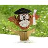 CUTPOPUP Graduation Card Pop Up, 3D High School Greeting Card (Owl)(Owl Graduation)