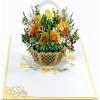 CUTPOPUP Birthday Card Pop Up, Mother’s Day, 3D Greeting Card (50th Happy Birthday)