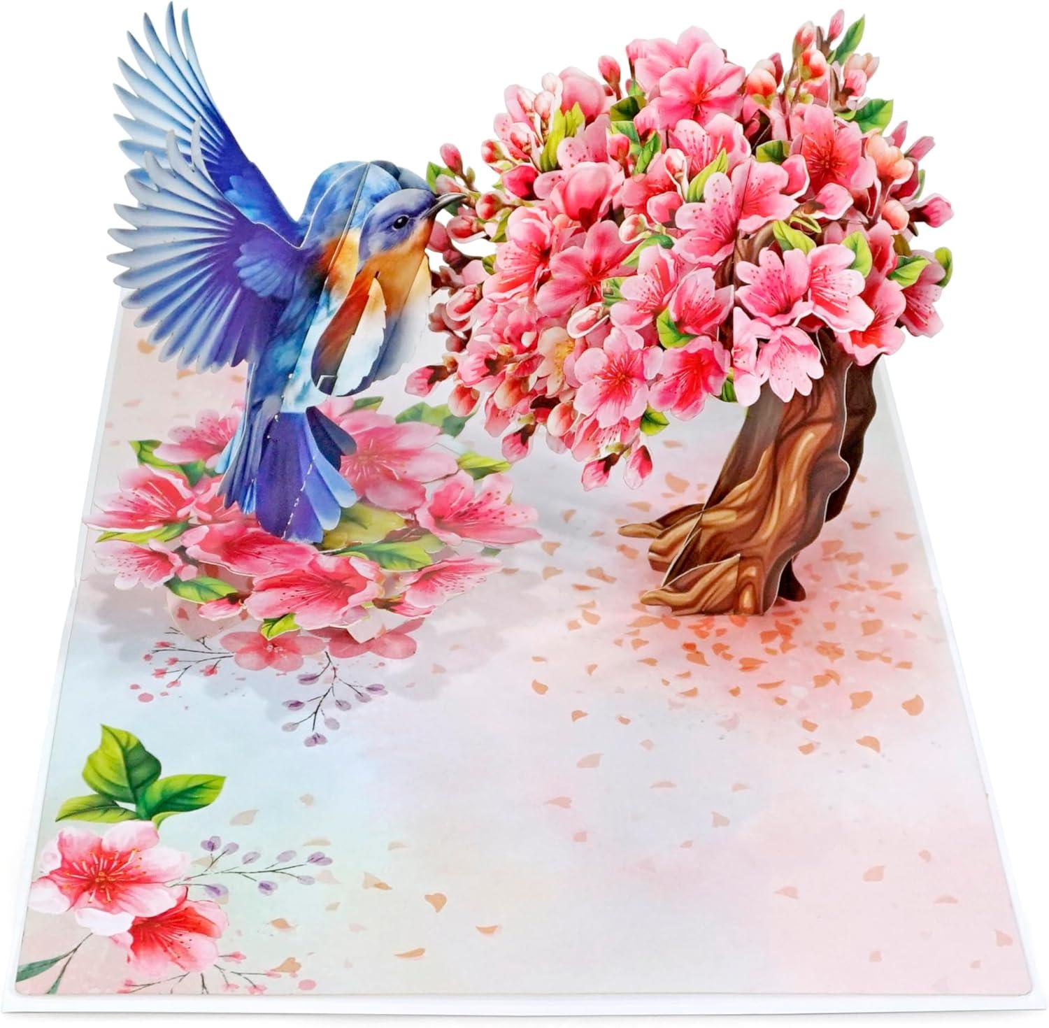 imageCUTPOPUP Birthday Card Pop Up 3D Greeting Flowers Cards for Women Mom Grandma Daughter Friends Bloom Garden FL191USRobin Cherry6x8in