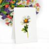 CUTPOPUP Birthday Card Pop Up, 10″x12″, Mothers Day, 3D Greeting Paper Flower Card, Birthday Cards for Women, Mom, Wife, Grandma (Bouquet of Daisy)