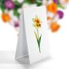 CUTPOPUP Birthday Card Pop Up, 10″x12″, Mothers Day, 3D Greeting Paper Flower Card (Bouquet of Daffodil)