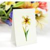 CUTPOPUP Birthday Card Pop Up, 10″x12″, Mothers Day, 3D Greeting Paper Flower Card (Bouquet of Lily)