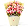 CUTPOPUP Birthday Card Pop Up, 10″x12″, Mothers Day, 3D Greeting Paper Flower Card (Bouquet of Magnolia)