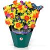 CUTPOPUP Birthday Card Pop Up, 10″x12″, Mothers Day, 3D Greeting Paper Flower Card (Bouquet of Narcissus Yellow)