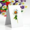 CUTPOPUP Birthday Card Pop Up, 6″x8″, Mothers Day, 3D Greeting Paper Flower Card (Bouquet of Daisy)