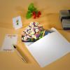 CUTPOPUP Birthday Card Pop Up, 6″x8″, Mothers Day, 3D Greeting Paper Flower Card (Bouquet of Daisy)