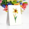 CUTPOPUP Birthday Card Pop Up, 6″x8″, Mothers Day, 3D Greeting Paper Flower Card (Bouquet of Lily)