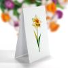 CUTPOPUP Birthday Card Pop Up, 6″x8″, Mothers Day, 3D Greeting Paper Flower Card (Bouquet of Narcissus)