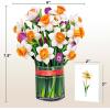 CUTPOPUP Birthday Card Pop Up, 6″x8″, Mothers Day, 3D Greeting Paper Flower Card (Bouquet of Narcissus)