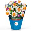CUTPOPUP Birthday Card Pop Up, 6″x8″, Mothers Day, 3D Greeting Paper Flower Card (Bouquet of Narcissus)