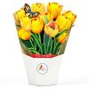 CUTPOPUP Birthday Card Pop Up, 6″x8″, Mothers Day, 3D Greeting Paper Flower Card (Bouquet of Yellow Tulip)