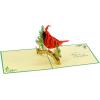 CUTPOPUP Christmas Card Pop Up, 3D Xmas, Merry Christmas, New Year, Holiday Greeting Cards Gift (Merry Town) CN317US1520(Christmas Cardinal)