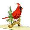 CUTPOPUP Christmas Card Pop Up, 3D Xmas, Merry Christmas, New Year, Holiday Greeting Cards Gift (Merry Town) CN317US1520(Christmas Cardinal)