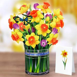 CUTPOPUP Birthday Card Pop Up, 6″x8″, Mothers Day, 3D Greeting Paper Flower Card (Bouquet of Yellow Narcissus)