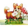 CUTPOPUP Anniversary Card Pop Up, Valentines Day Cards, Wedding, Engagement, 3D Greeting Card (Autumn Love Tree & Squirrel Couple)(Happy Corgi-6x8in)