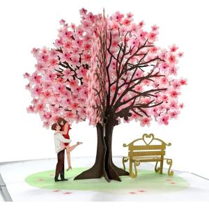 CUTPOPUP Anniversary Card Pop Up, Valentines Day, 3D Popup Greeting Love Card (Cat Couple)(Cherry Couple)