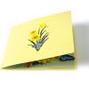 CUT POPUP.COM Mothers Day Card, 3D Pop Up Birthday Paper Art Greeting Card, Father’s Day, Meaningful Gift for Dad, Husband, Grandpa (Hummingbird)(Daffodils Basket-6x6in)