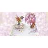 CUT POPUP.COM Mothers Day Card, 3D Pop Up Birthday Paper Art Greeting Card, Father’s Day, Meaningful Gift for Dad, Husband, Grandpa (Hummingbird)(Hummingbird Wisteria-6x8in)
