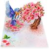 CUT POPUP.COM Mothers Day Card, 3D Pop Up Birthday Paper Art Greeting Card, Father’s Day, Meaningful Gift for Dad, Husband, Grandpa (Hummingbird)(Robin Cherry-6x8in)