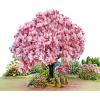 CUT POPUP.COM Mothers Day Card, 3D Pop Up Birthday Paper Art Greeting Card, Father’s Day, Meaningful Gift for Dad, Husband, Grandpa (Hummingbird)(Magnolia Tree-6x8in)