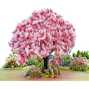 CUT POPUP.COM Mothers Day Card, 3D Pop Up Birthday Paper Art Greeting Card, Father’s Day, Meaningful Gift for Dad, Husband, Grandpa (Hummingbird)(Magnolia Tree-6x8in)