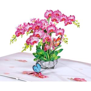 CUT POPUP.COM Mothers Day Card, 3D Pop Up Birthday Paper Art Greeting Card, Father’s Day, Meaningful Gift for Dad, Husband, Grandpa (Hummingbird)(Orchid-6x8in)