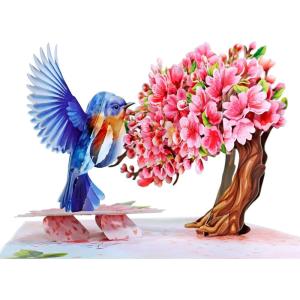 CUT POPUP.COM Mothers Day Card, 3D Pop Up Birthday Paper Art Greeting Card, Father’s Day, Meaningful Gift for Dad, Husband, Grandpa (Hummingbird)(Robin Cherry-6x8in)