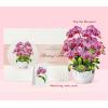 CUTPOPUP Iris Bouquet, Birthday Card Pop Up, 8.5″x7″, Mothers Day, 3D Greeting Paper Flower Card (Bouquet of Iris) FL202US(Orchid Bouquet-8.5x7in)