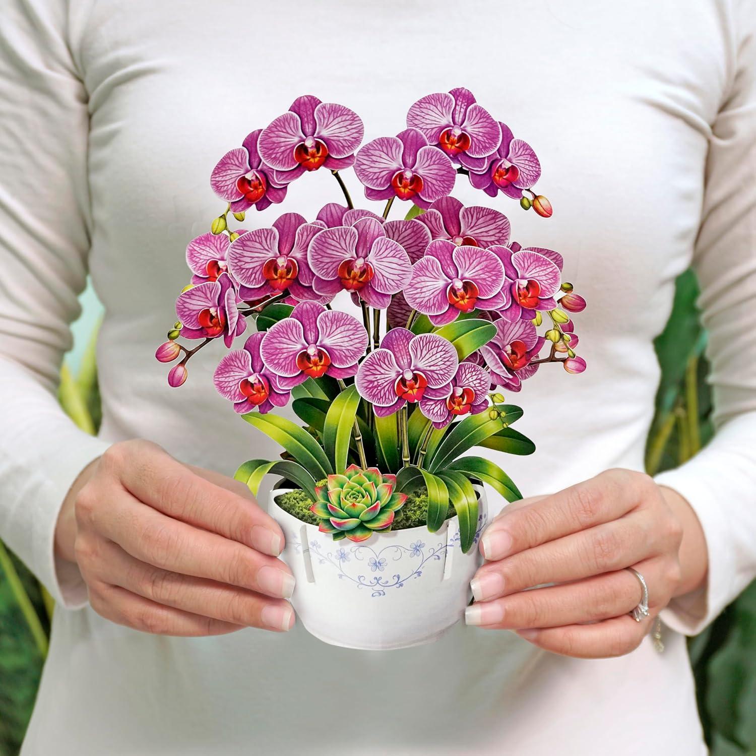 image:imageCUTPOPUP Birthday Card for Women Mothers Day Card Pop Up 3D Birthday Greeting Gift for Mom Grandma Women Mother Queen AN181USOrchid Bouquet85x7in