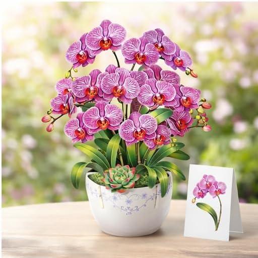 image:imageCUTPOPUP Birthday Card for Women Mothers Day Card Pop Up 3D Birthday Greeting Gift for Mom Grandma Women Mother Queen AN181USOrchid Bouquet85x7in