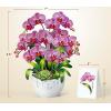 CUTPOPUP Birthday Card for Women, Mothers Day Card Pop Up, 3D Birthday Greeting Gift for Mom, Grandma, Women (Mother Queen) AN181US(Orchid Bouquet-8.5x7in)