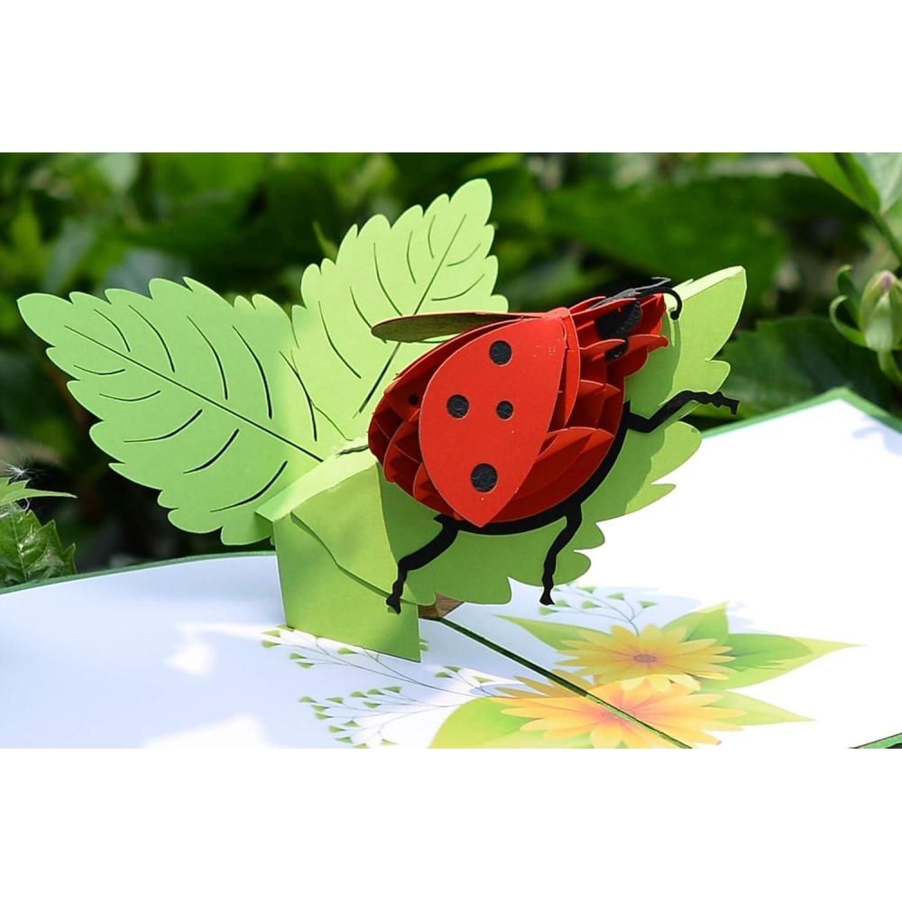 image:imageCUTPOPUP Ladybug Card Pop Up 3d Birthday Card Pop Up For Grandma Mom Mother In Law Daughter Great On Birthday Mothers Day Christmas New YearLadybug Pop Up Card