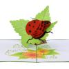 CUTPOPUP Ladybug Card Pop Up, 3d Birthday Card Pop Up For Grandma, Mom, Mother In Law, Daughter- Great On Birthday, Mother’s Day, Christmas, New Year(Ladybug Pop Up Card)