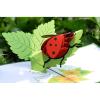CUTPOPUP Ladybug Card Pop Up, 3d Birthday Card Pop Up For Grandma, Mom, Mother In Law, Daughter- Great On Birthday, Mother’s Day, Christmas, New Year(Ladybug Pop Up Card)