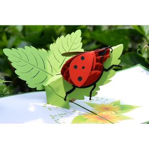 CUTPOPUP Ladybug Card Pop Up, 3d Birthday Card Pop Up For Grandma, Mom, Mother In Law, Daughter- Great On Birthday, Mother’s Day, Christmas, New Year(Ladybug Pop Up Card)